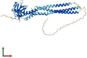 AlphaFold protein structure predicition of Human Recombinant PICK1 Protein, UniprotID Q9NRD5 (PICK1 Protein (AA 1-415) (His tag))