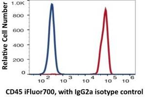 Image no. 2 for anti-Protein tyrosine Phosphatase, Receptor Type, C (PTPRC) antibody (iFluor™700) (ABIN6253046)