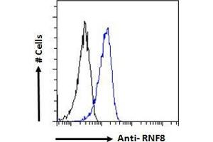 ABIN184931 Flow cytometric analysis of paraformaldehyde fixed HeLa cells (blue line), permeabilized with 0. (RNF8 antibody  (N-Term))