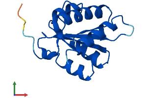 Protein Structure (PS) image for NHP2 Non-Histone Chromosome Protein 2-Like 1 (NHP2L1) (AA 1-128) protein (His tag) (ABIN7549832)