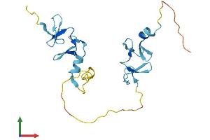 AlphaFold protein structure predicition of Human Recombinant CSRP3 Protein, UniprotID P50461