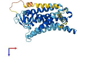 Olfactory Receptor, Family 52, Subfamily I, Member 2 (OR52I2) (AA 1-350) protein (His tag)