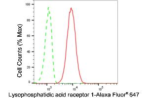 Flow cytometric analysis of Lysophosphatidic acid receptor 1 expression in C2C12 cells using Lysophosphatidic acid receptor 1 antibody (ABIN7799304), 1:2,000).