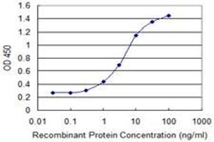 Detection limit for recombinant GST tagged RPP40 is 0. (RPP40 antibody  (AA 295-363))