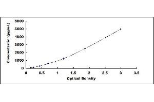 Typical standard curve (TNFAIP3 ELISA Kit)