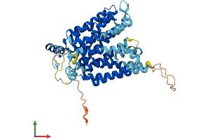 AlphaFold protein structure predicition of Human Recombinant SLC2A8 Protein, UniprotID Q9NY64