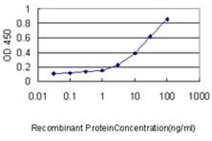 Detection limit for recombinant GST tagged PSME2 is approximately 0. (PSME2 antibody  (AA 1-90))