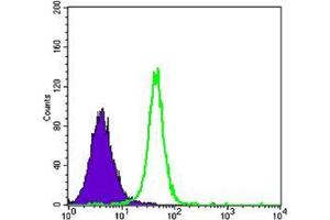 Flow cytometric analysis of K562 cells using HK2 mouse mAb (green) and negative control (purple). (Hexokinase 2 antibody)