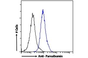 (ABIN185412) Flow cytometric analysis of paraformaldehyde fixed Kelly cells (blue line), permeabilized with 0. (PVALB antibody  (C-Term))