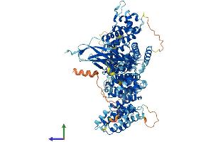 AlphaFold protein structure predicition of Mouse Recombinant Ints4 Protein, UniprotID Q8CIM8