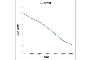 Antigen: 0. (Myosin VIIA antibody  (AA 851-950))