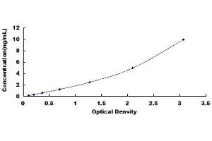 Typical standard curve (WNT4 ELISA Kit)