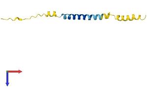 AlphaFold protein structure predicition of Human Recombinant CTXN3 Protein, UniprotID Q4LDR2