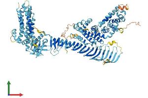 AlphaFold protein structure predicition of Human Recombinant ALS2CL Protein, UniprotID Q60I27