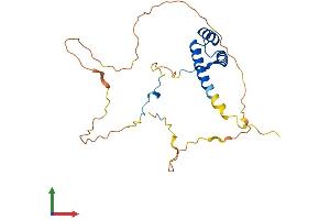 AlphaFold protein structure predicition of Mouse Recombinant Hoxa6 Protein, UniprotID P09092 (HOXA6 Protein (AA 1-232) (His tag))