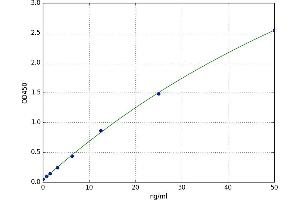 Dystrophin (DMD) ELISA Kit
