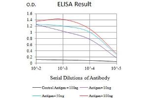 Black line: Control Antigen (100 ng),Purple line: Antigen (10 ng), Blue line: Antigen (50 ng), Red line:Antigen (100 ng) (PTPRD antibody  (AA 1077-1265))