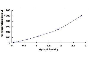 Typical standard curve (CCL19 ELISA Kit)