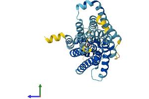 AlphaFold protein structure predicition of Mouse Recombinant Slc10a7 Protein, UniprotID Q5PT53 (SLC10A7 Protein (AA 1-340) (His tag))