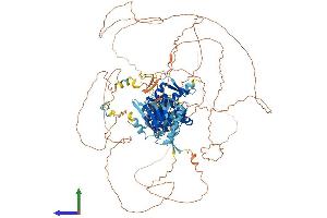 Protein Structure (PS) image for SUMO1/sentrin Specific Protease 7 (SENP7) (AA 1-1050) protein (His tag) (ABIN7555473)