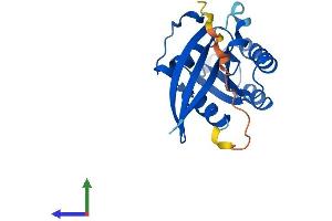 AlphaFold protein structure predicition of Mouse Recombinant Rab22a Protein, UniprotID P35285