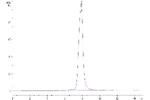 The purity of Biotinylated Human ANGPTL2/Angiopoietin-like 2 is greater than 95 % as determined by SEC-HPLC. (ANGPTL2 Protein (AA 260-493) (His-Avi Tag,Biotin))