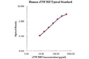 ELISA image for Tumor Necrosis Factor Receptor Superfamily, Member 1B (TNFRSF1B) ELISA Kit (ABIN3198618) (TNFRSF1B ELISA Kit)
