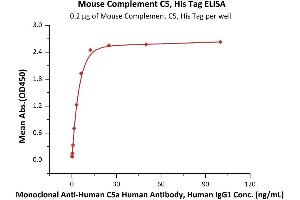 Immobilized Mouse Complement C5, His Tag (ABIN6973037) at 2 μg/mL (100 μL/well) can bind Monoclonal A C5a Human Antibody, Human IgG1 with a linear range of 0. (C5 Protein (AA 19-1680) (His tag))