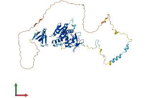 AlphaFold protein structure predicition of Human Recombinant EDC3 Protein, UniprotID Q96F86