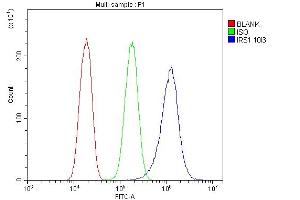 Flow Cytometry analysis of PC-3 cells using anti-IRS1 antibody (ABIN7599659). (IRS1 antibody  (AA 1041-1242))