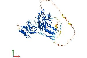 AlphaFold protein structure predicition of Human Recombinant SMAD1 Protein, UniprotID Q15797 (SMAD1 Protein (AA 1-465) (His tag))