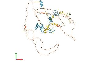 AlphaFold protein structure predicition of Human Recombinant ZCCHC7 Protein, UniprotID Q8N3Z6 (ZCCHC7 Protein (AA 1-543) (His tag))