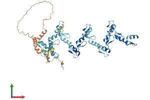 Protein Structure (PS) image for Zinc Finger Protein 26 (ZNF26) (AA 1-533) protein (His tag) (ABIN7545833)