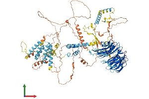 AlphaFold protein structure predicition of Human Recombinant FBXW10 Protein, UniprotID Q5XX13 (FBXW10 Protein (AA 1-1052) (His tag))