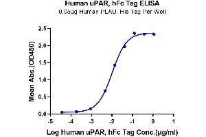 ELISA image for Plasminogen Activator, Urokinase Receptor (PLAUR) (AA 23-305) protein (Fc Tag) (ABIN7275406)