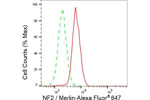 Flow cytometric analysis of NF2 / Merlin expression in HAP-1 cells using NF2 / Merlin antibody (ABIN7799579), 1:2,000).