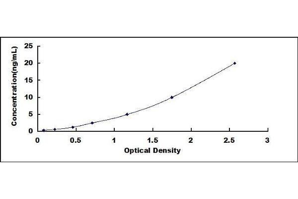 PCSK4 ELISA Kit