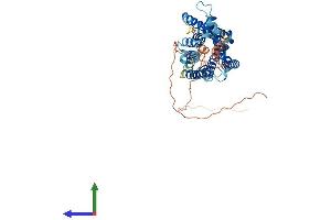 Protein Structure (PS) image for Tachykinin Receptor 3 (TACR3) (AA 1-452) protein (His tag) (ABIN7563298)