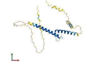 AlphaFold protein structure predicition of Human Recombinant BHLHA15 Protein, UniprotID Q7RTS1 (BHLHA15 Protein (AA 1-189) (His tag))