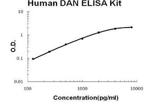 Human DAN/NBL1 PicoKine ELISA Kit standard curve