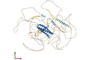 AlphaFold protein structure predicition of Mouse Recombinant Dlgap4 Protein, UniprotID B1AZP2 (DLGAP4 Protein (AA 1-992) (His tag))