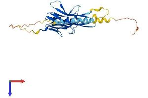 Protein Structure (PS) image for Tumor Necrosis Factor (Ligand) Superfamily, Member 15 (TNFSF15) (AA 1-252) protein (His tag) (ABIN7557569)