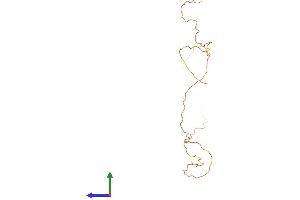 AlphaFold protein structure predicition of Human Recombinant KRTAP13-2 Protein, UniprotID Q52LG2 (KRTAP13-2 Protein (AA 1-175) (His tag))