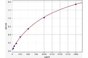 Motilin ELISA Kit