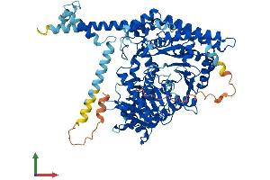 AlphaFold protein structure predicition of Human Recombinant CPT1C Protein, UniprotID Q8TCG5 (CPT1C Protein (AA 1-803) (His tag))