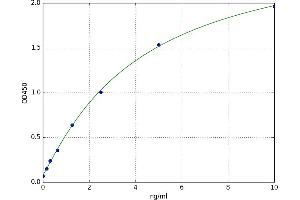 A typical standard curve (COLEC10 ELISA Kit)