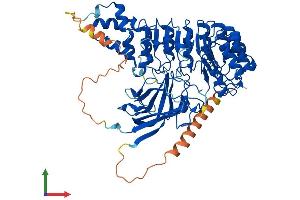 AlphaFold protein structure predicition of Human Recombinant FBXL4 Protein, UniprotID Q9UKA2