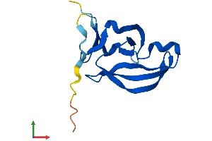 Protein Structure (PS) image for Yippee-Like 1 (YPEL1) (AA 1-119) protein (His tag) (ABIN7545235)