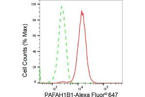 Flow cytometric analysis of PAFAH1B1 expression in HepG2 cells using PAFAH1B1 antibody (ABIN7799849), 1:2,000).