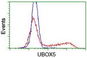 Image no. 2 for anti-U-Box Domain Containing 5 (UBOX5) (AA 1-130), (AA 419-487) antibody (ABIN1490571)